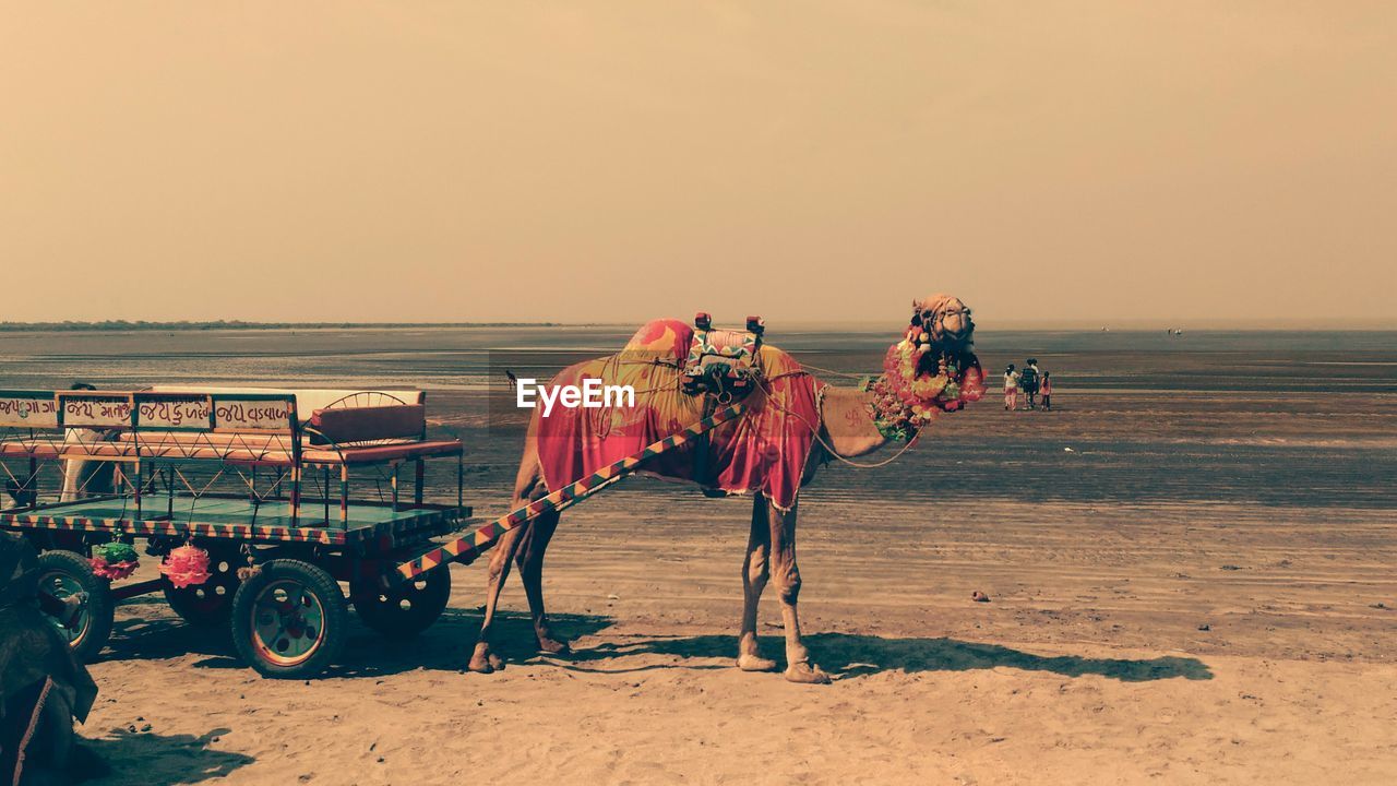 PEOPLE ON BEACH AT SUNSET