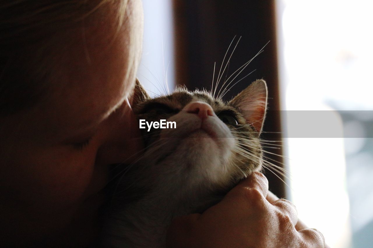 Close-up of woman kissing cat at home