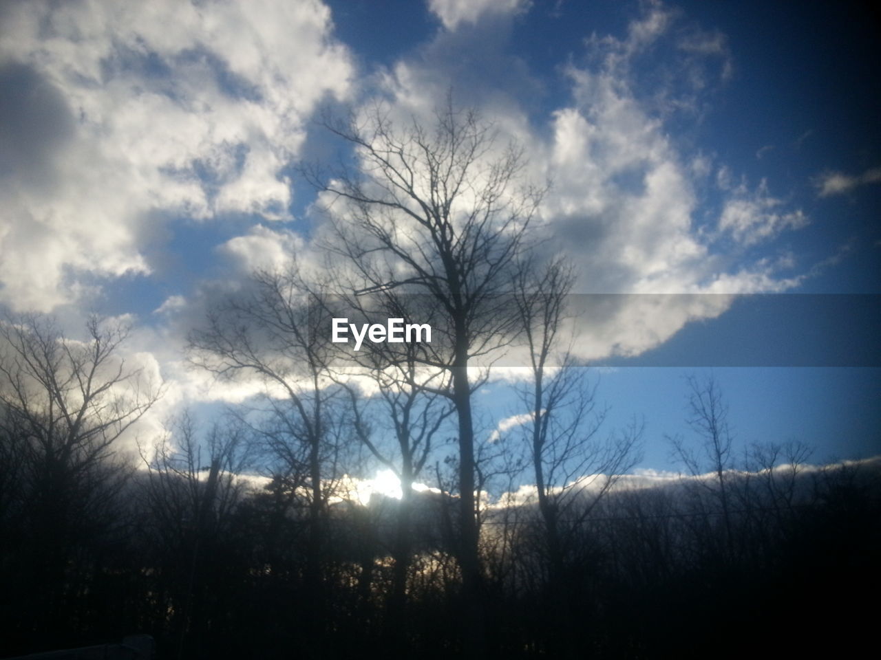 BARE TREES ON LANDSCAPE AGAINST SKY