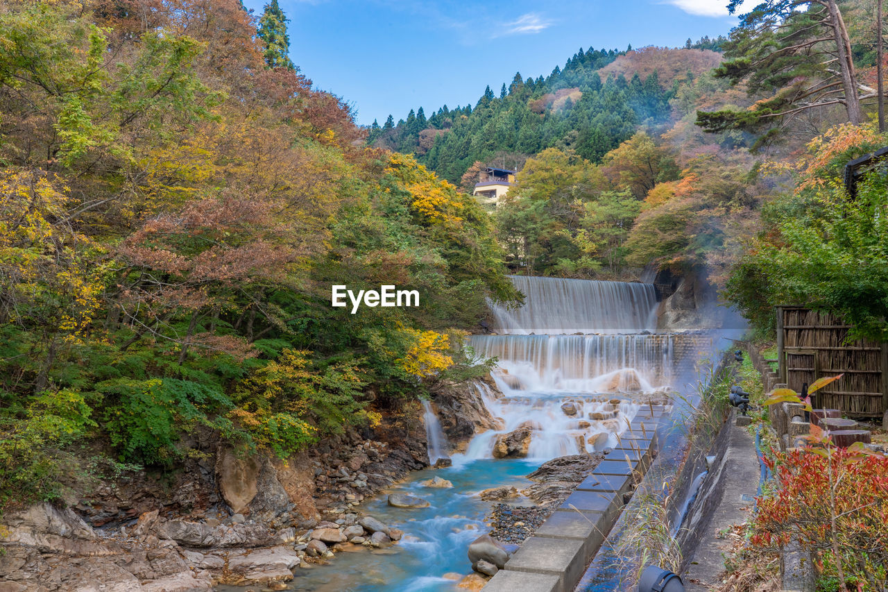 SCENIC VIEW OF WATERFALL AT FOREST