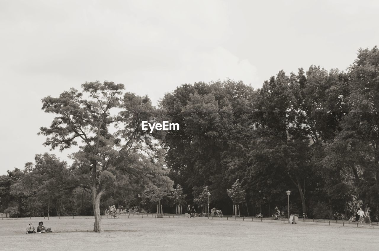 TREES ON FIELD AGAINST SKY IN PARK