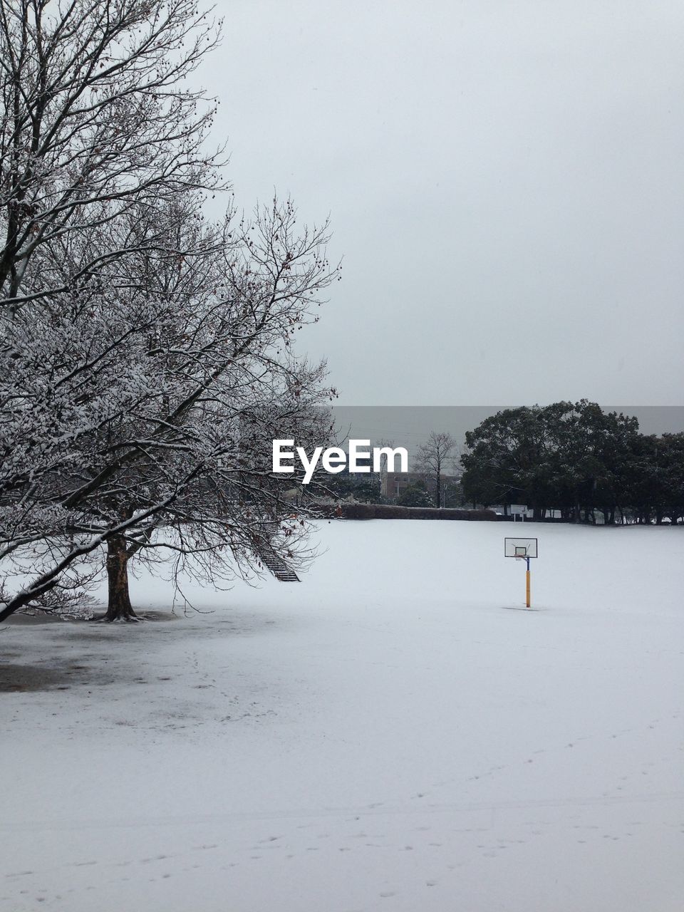 Bare trees on snow covered field against sky