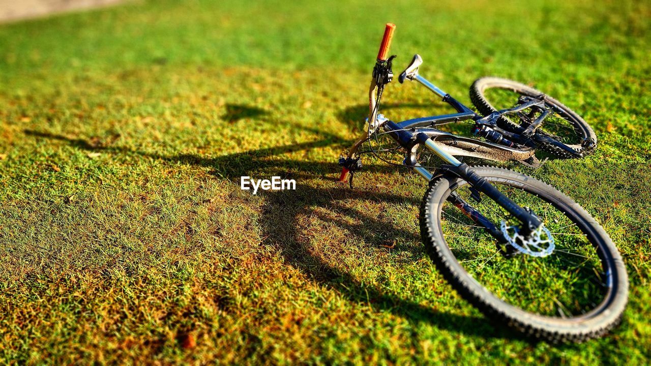 bicycle, green, grass, vehicle, transportation, plant, nature, cycle sport, sunlight, mountain biking, no people, day, field, mountain bike, mode of transportation, land vehicle, shadow, lawn, land, cycling, outdoors, sports equipment, sports, bicycle racing, wheel, road bicycle, soil
