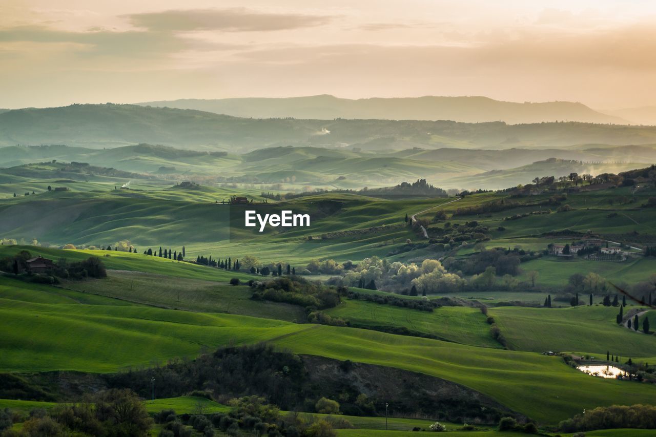 Scenic view of agricultural field against sky