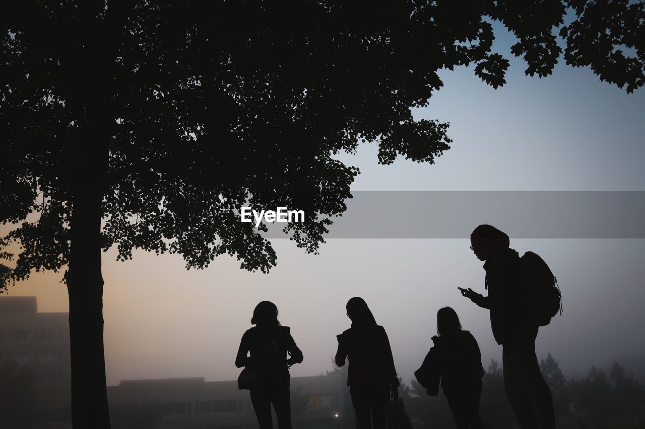 Silhouette people standing by tree against sky during sunset