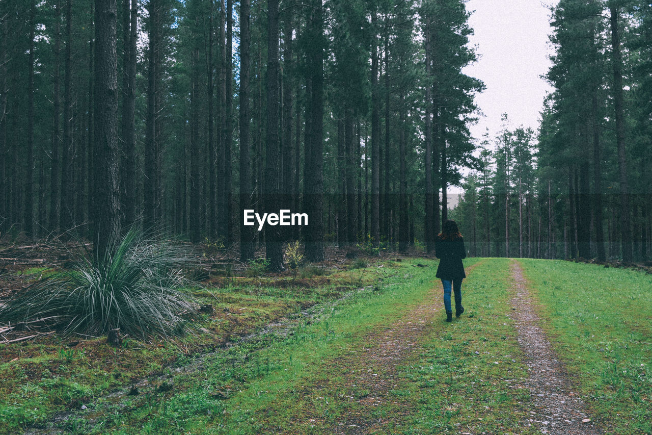 Rear view of young woman walking down footpath in woodland