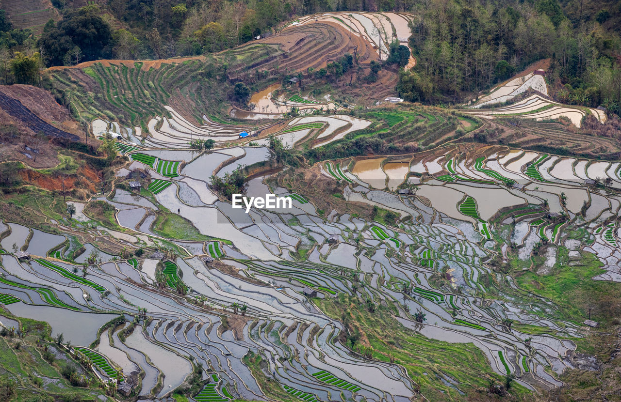 High angle view of agricultural field