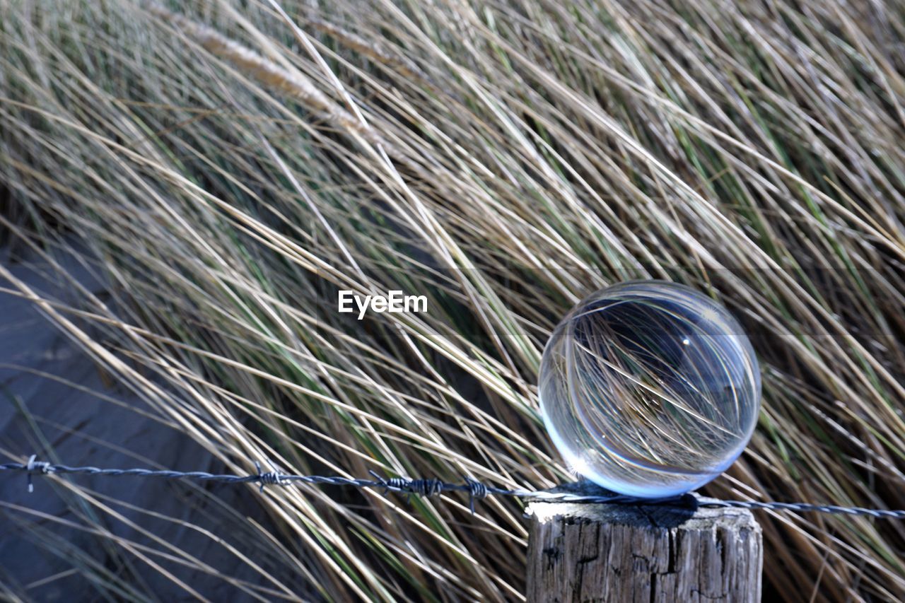 CLOSE-UP OF CRYSTAL BALL ON GREEN SURFACE