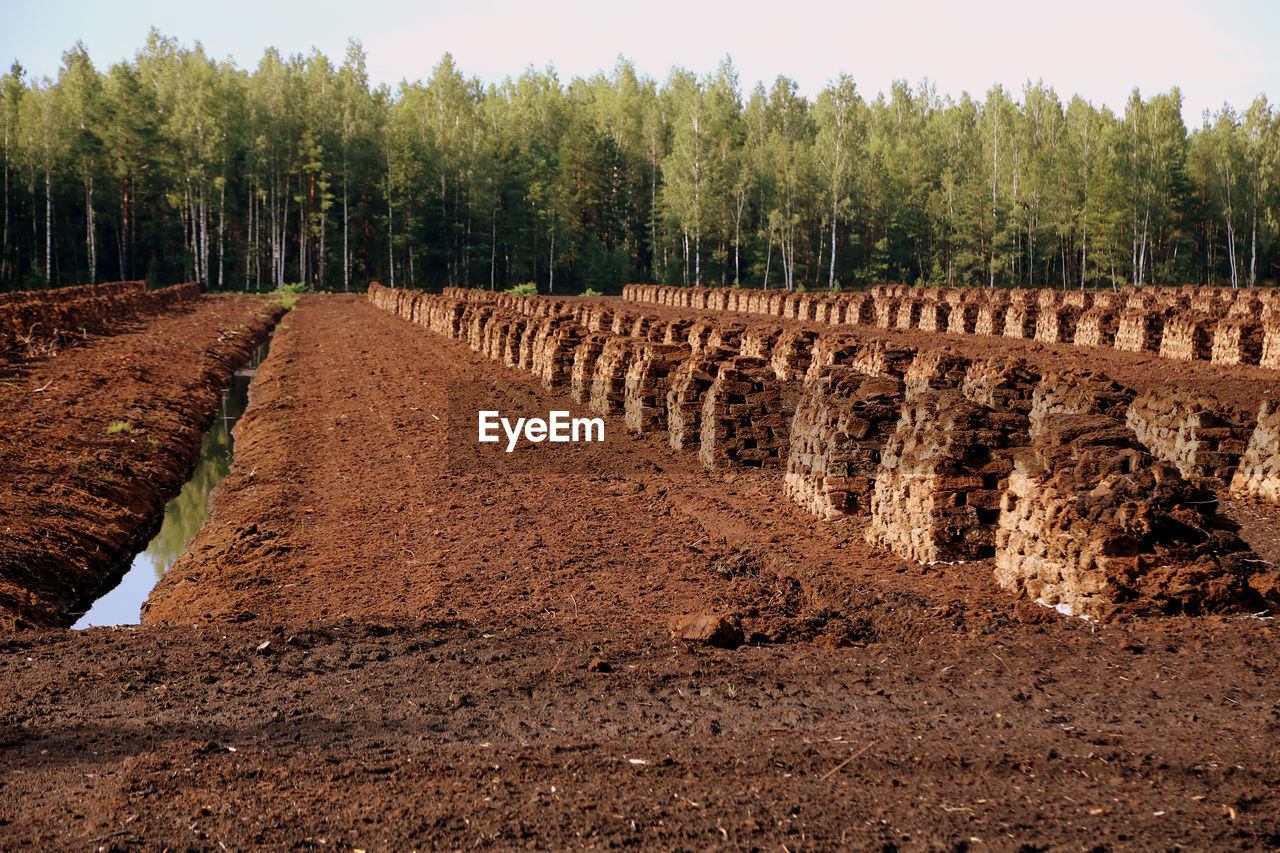 Peat stacks with trees against clear sky