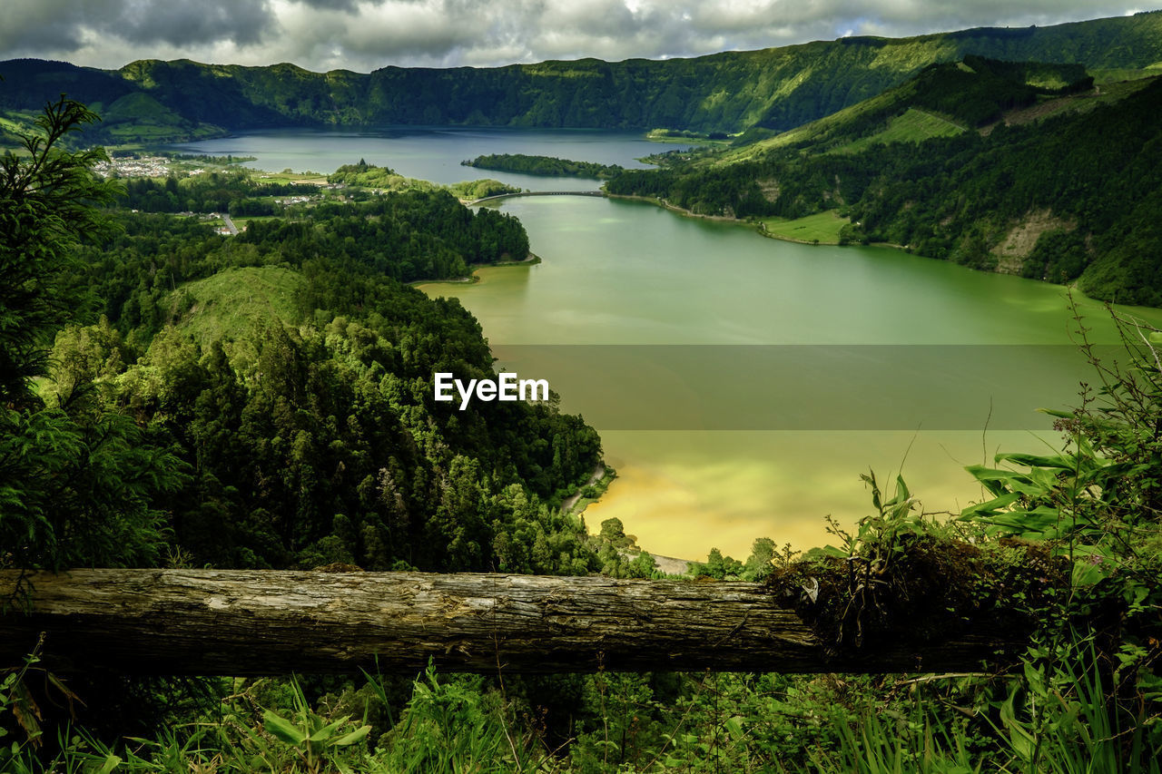 Scenic view of lake and trees against sky