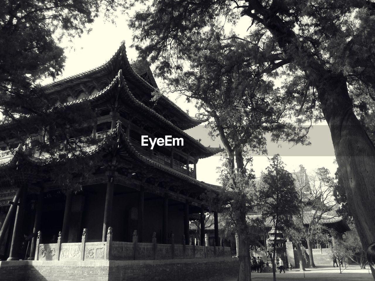 Exterior of temple amidst trees