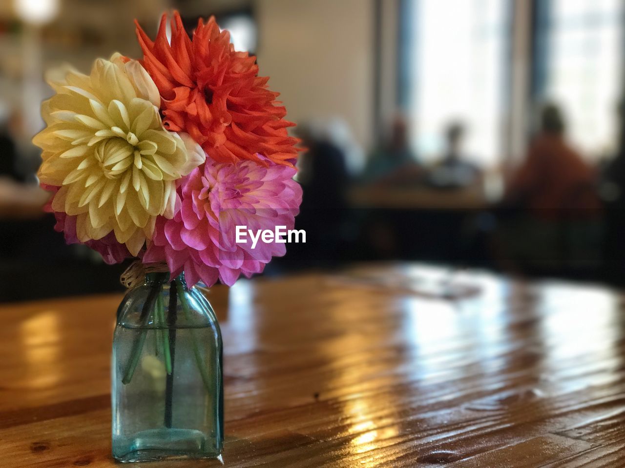 CLOSE-UP OF FLOWERS IN VASE