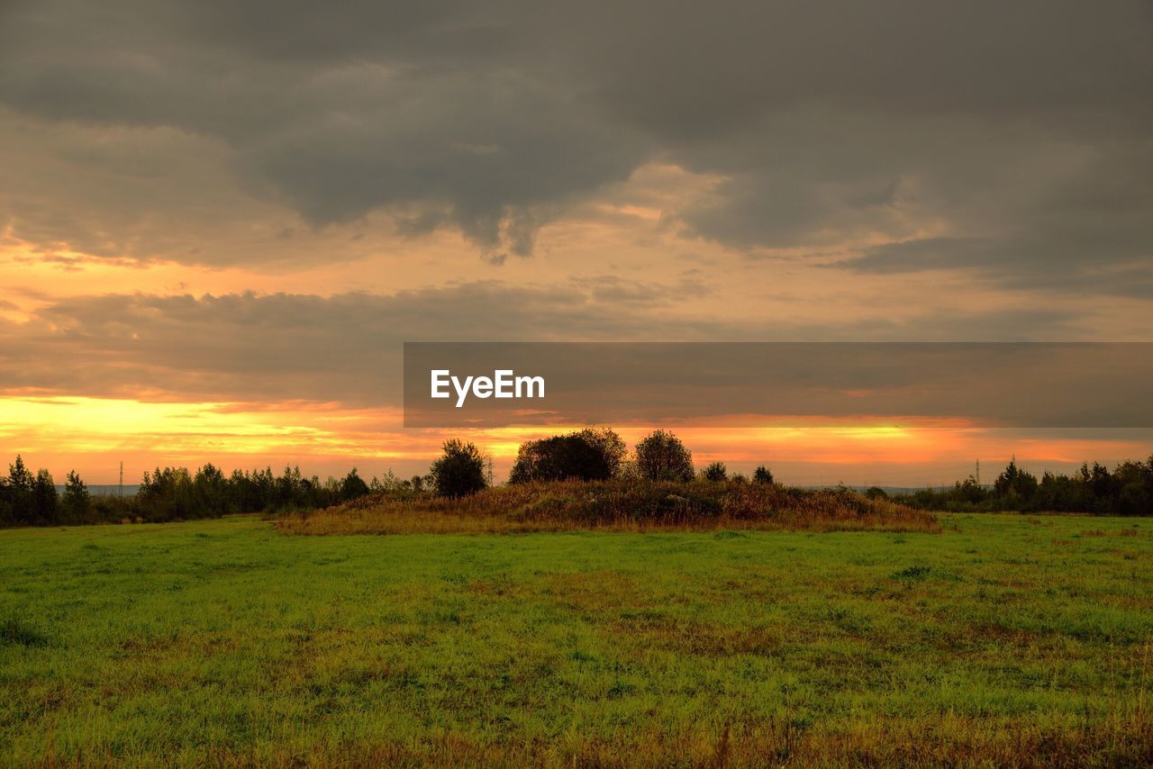 SCENIC VIEW OF FIELD AGAINST SKY AT SUNSET