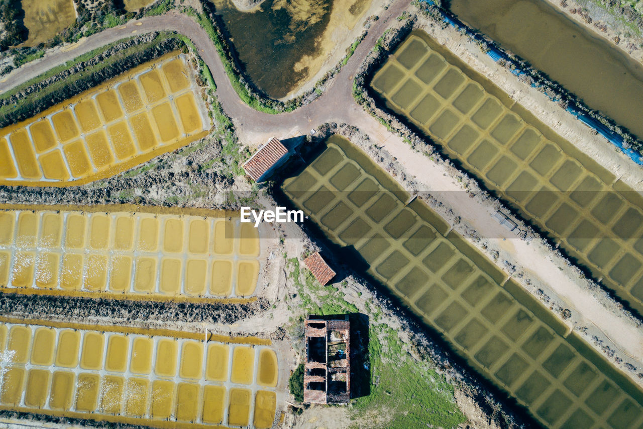 High angle view of agricultural field