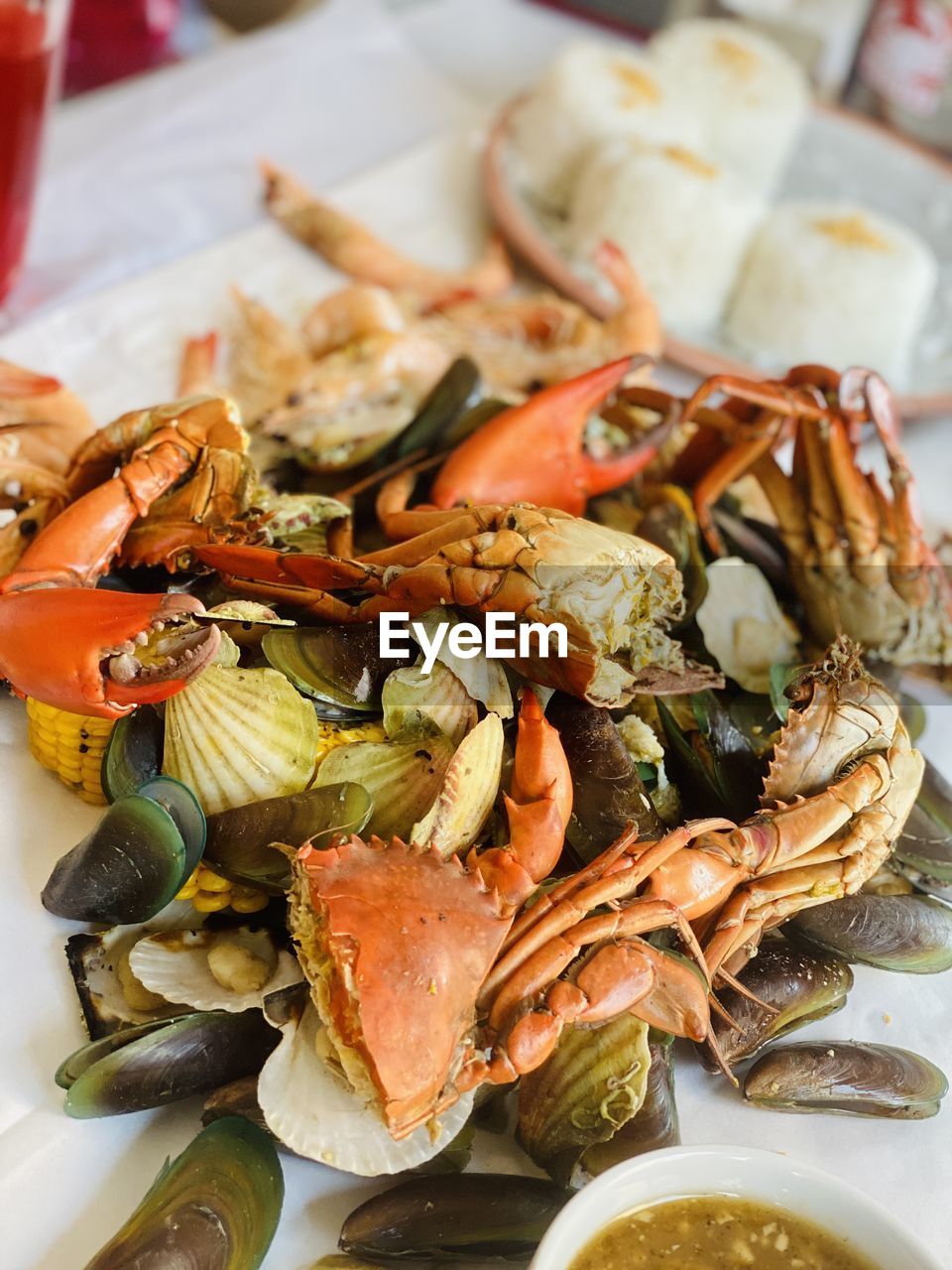 high angle view of seafood in plate