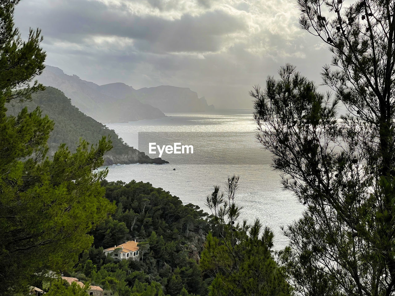 SCENIC VIEW OF SEA BY TREES AGAINST SKY