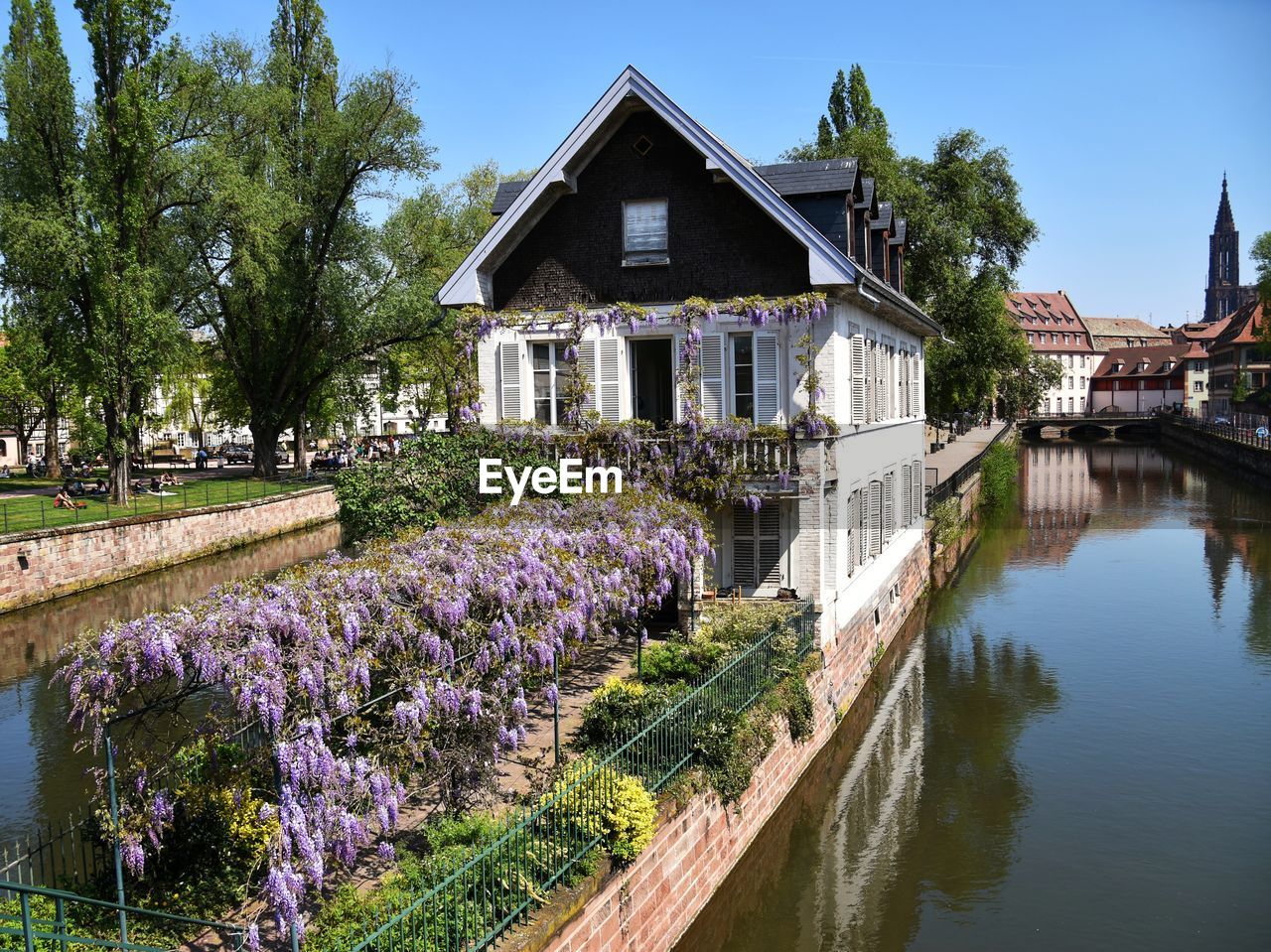 VIEW OF FLOWERING PLANTS BY BUILDING