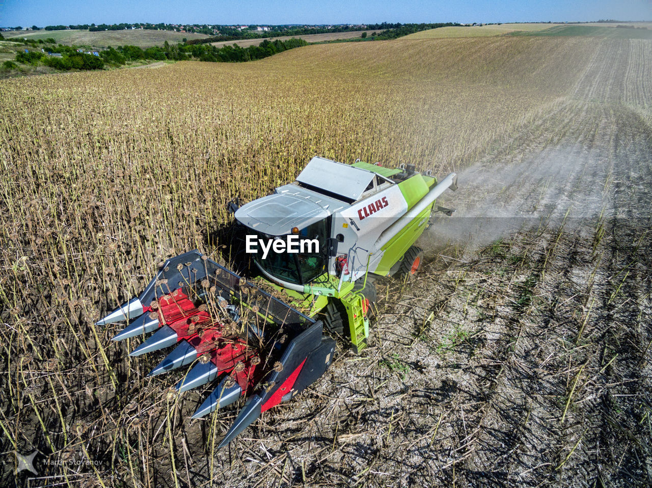 CROPS GROWING ON FIELD