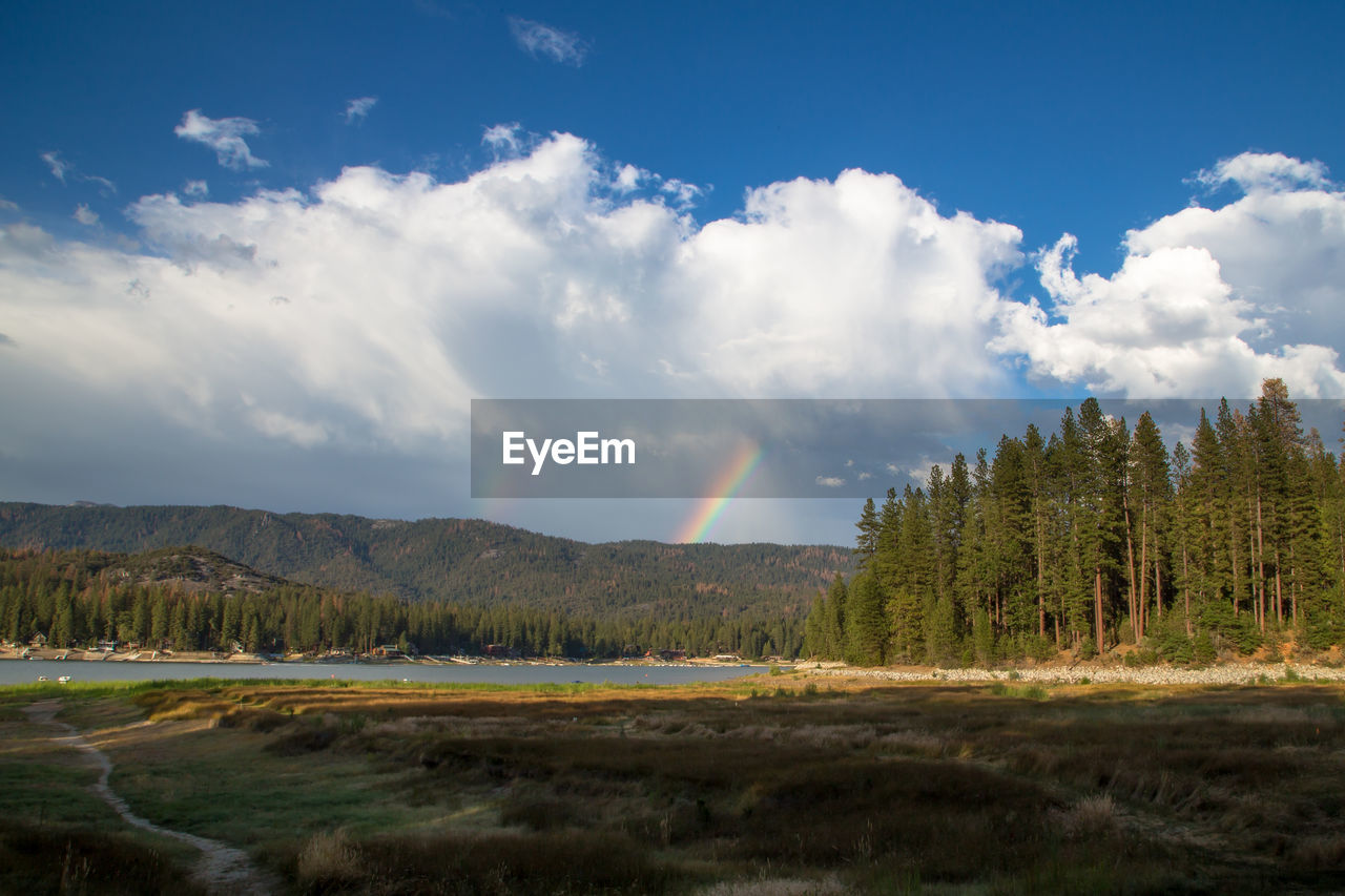 SCENIC VIEW OF GREEN LANDSCAPE AGAINST SKY