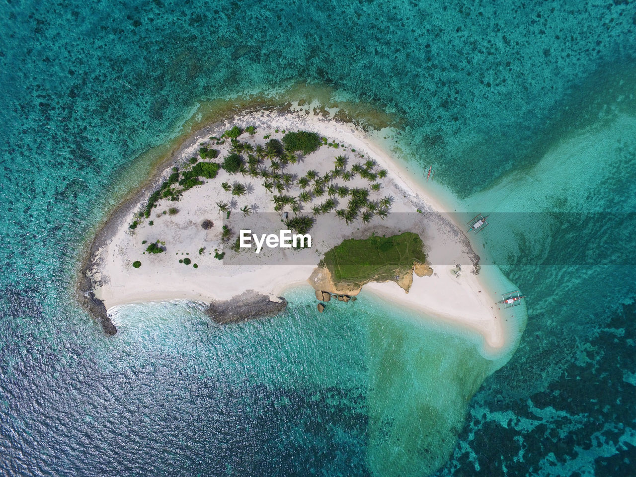 HIGH ANGLE VIEW OF TURTLE IN SEA AT BEACH