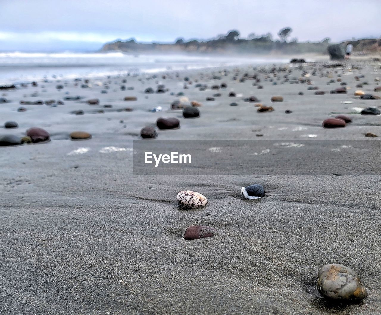 beach, land, sand, sea, shore, water, nature, coast, rock, no people, beauty in nature, tranquility, day, sky, pebble, body of water, ocean, outdoors, tranquil scene, scenics - nature, stone, animal wildlife, wave, animal, motion