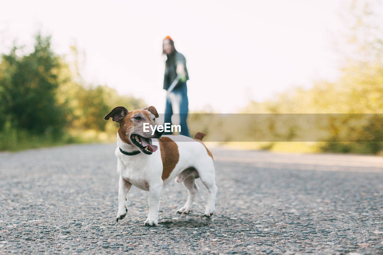 Modern teen girl walking with her dog in nature. pet, care, friendship. blurred background,