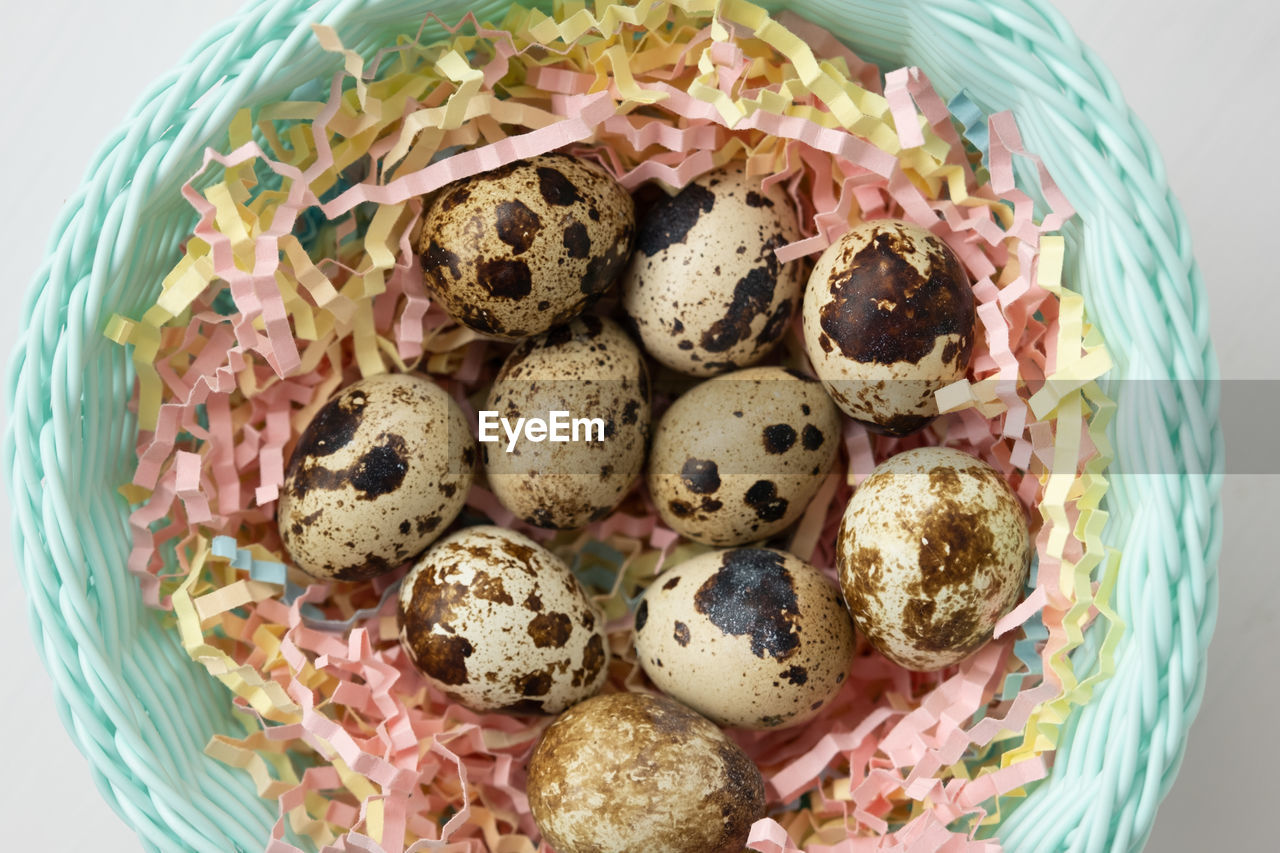 high angle view of donuts in bowl