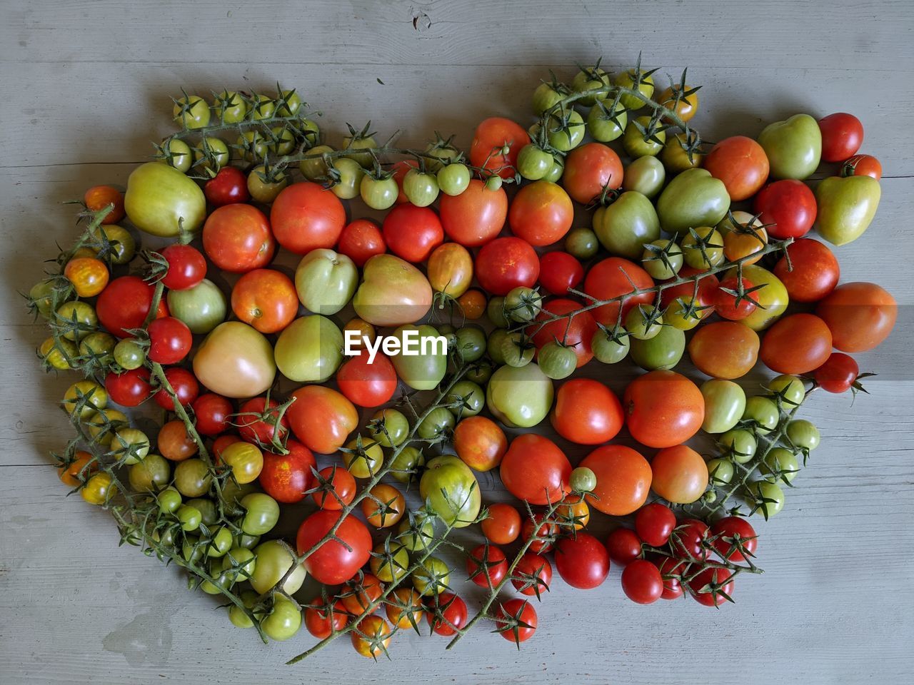 HIGH ANGLE VIEW OF FRESH TOMATOES