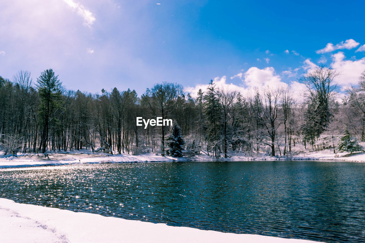 Scenic view of landscape and trees against sky