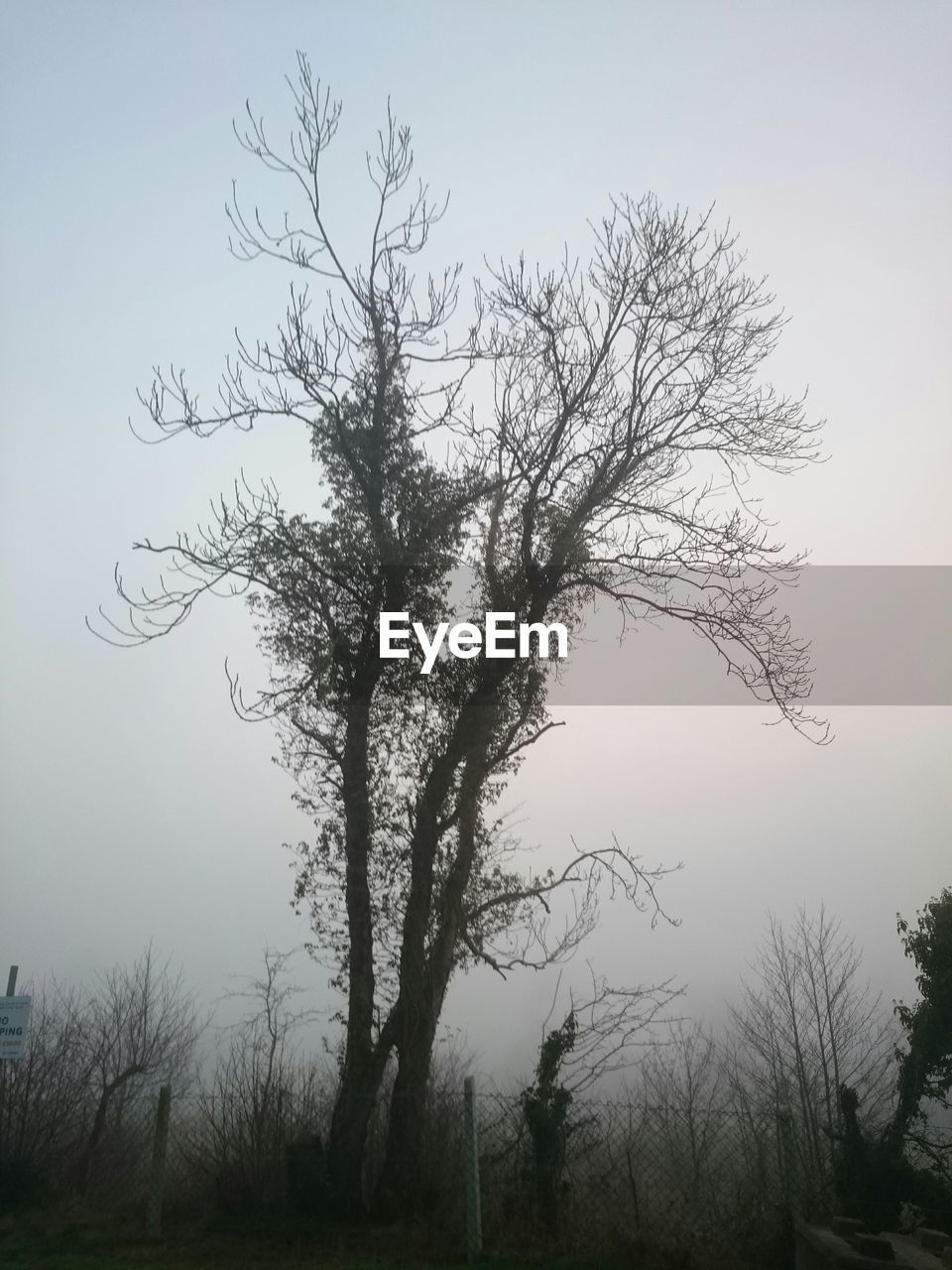 BARE TREES ON LANDSCAPE AGAINST SKY