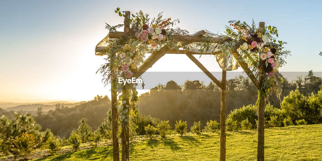 SCENIC VIEW OF FLOWERING TREES AGAINST SKY