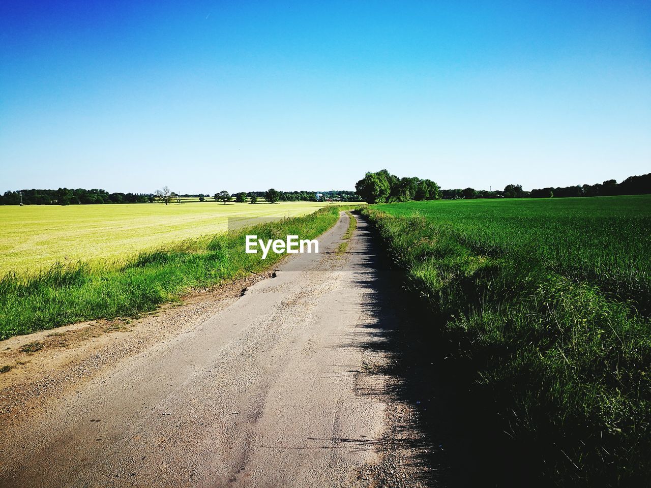 SCENIC VIEW OF FIELD AGAINST CLEAR BLUE SKY