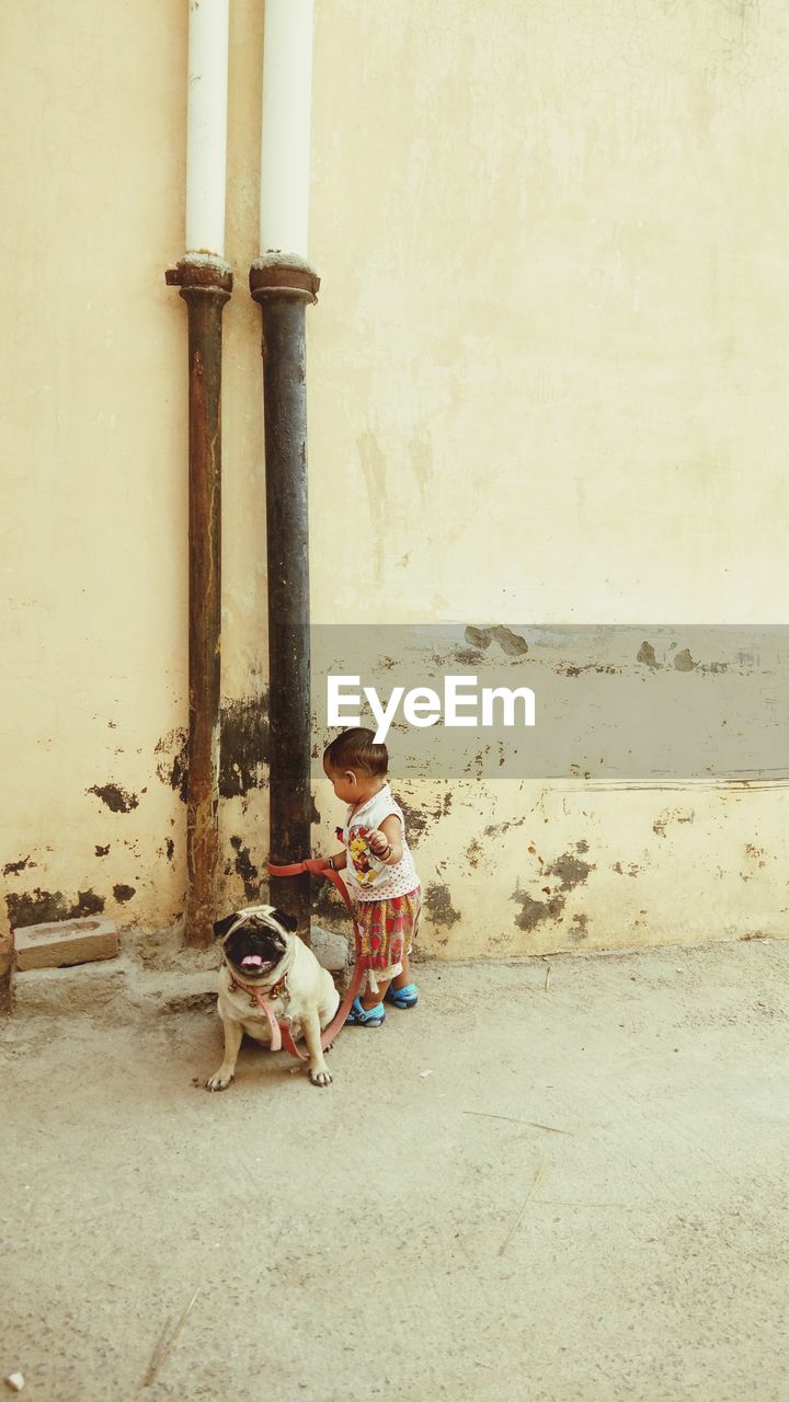 Side view of baby boy with dog standing on road by wall