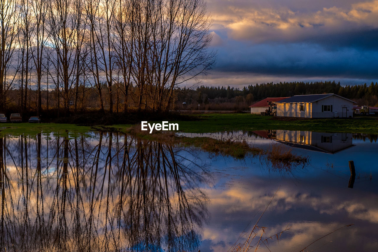 REFLECTION OF TREES AND BUILDINGS IN LAKE