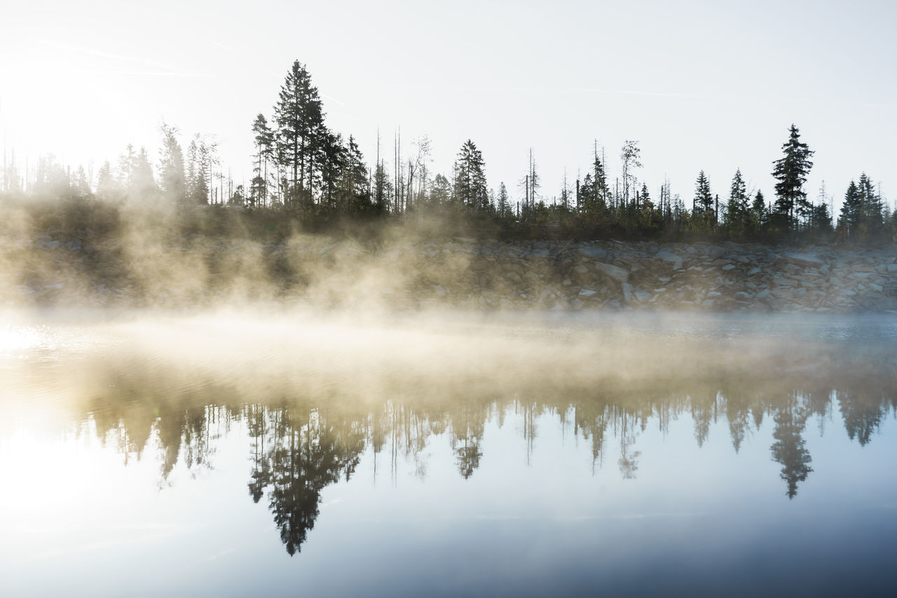 reflection, mist, water, tree, nature, lake, morning, fog, tranquility, plant, tranquil scene, beauty in nature, scenics - nature, sky, forest, no people, non-urban scene, winter, body of water, landscape, environment, day, dawn, wilderness, natural environment, idyllic, cloud, sunlight, land, outdoors, woodland, pine tree, travel destinations, coniferous tree, sunrise, copy space