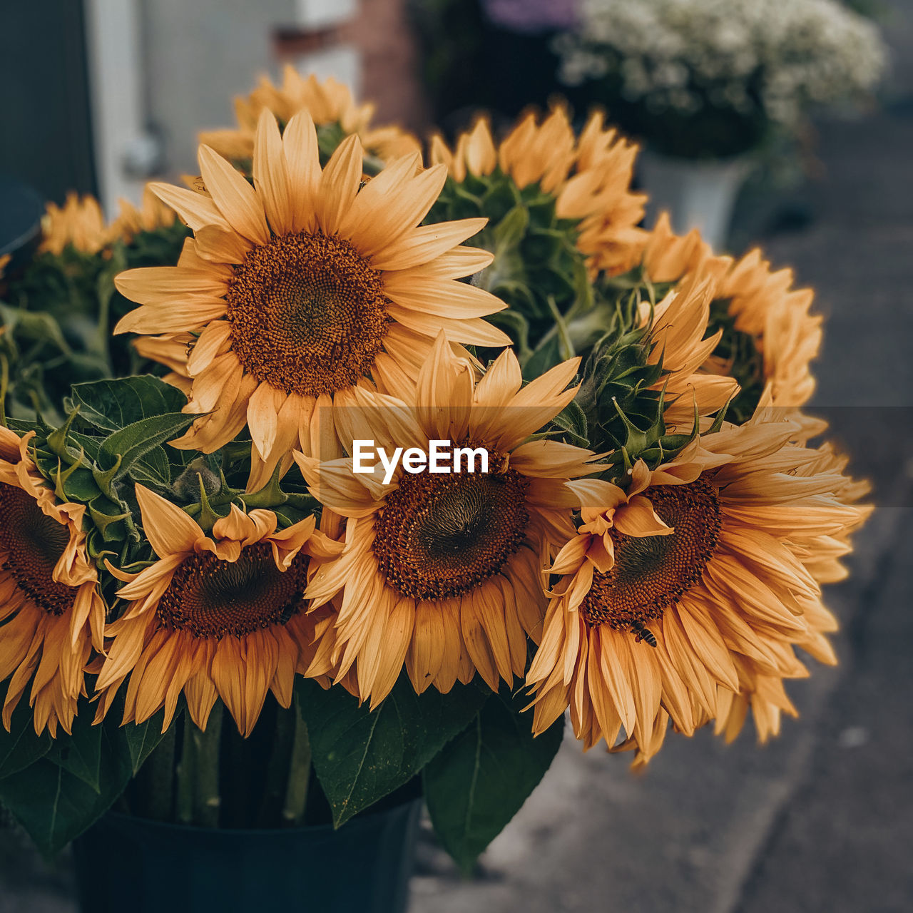 flower, flowering plant, plant, yellow, freshness, floristry, bouquet, sunflower, flower head, beauty in nature, nature, floral design, fragility, close-up, inflorescence, growth, petal, no people, focus on foreground, sunflower seed, outdoors, day, cut flowers, flower arrangement, arrangement, vase, pollen