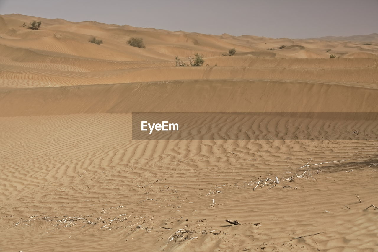 0247 chains of moving sand dunes cover the surface of the taklamakan desert. yutian-xinjiang -china.