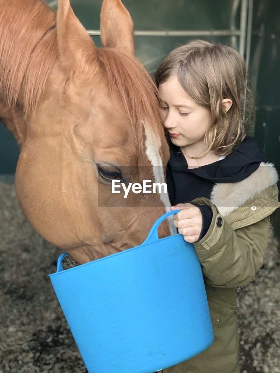 Girl feeding horse at stable