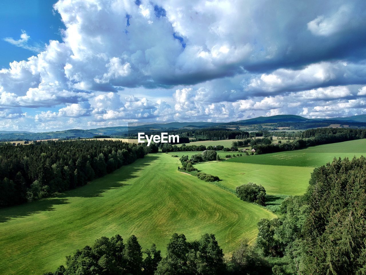 PANORAMIC SHOT OF TREES ON FIELD AGAINST SKY