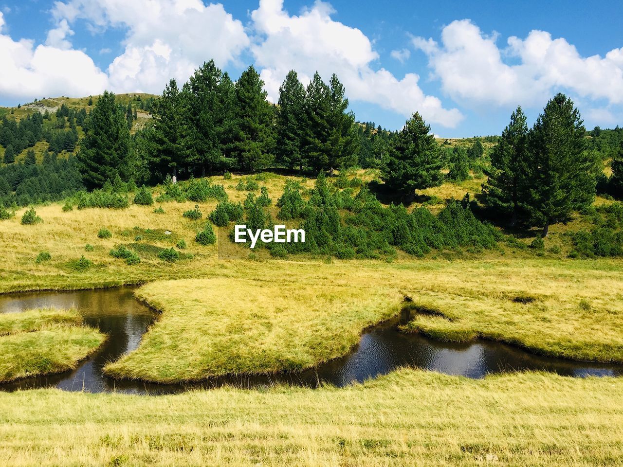 SCENIC VIEW OF POND AGAINST SKY