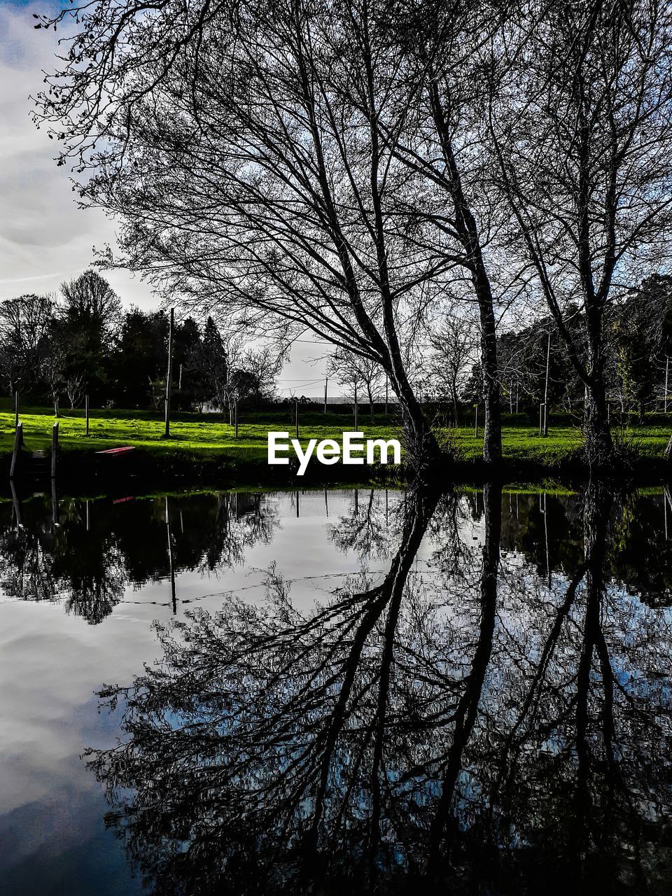 REFLECTION OF BARE TREES IN LAKE AGAINST SKY