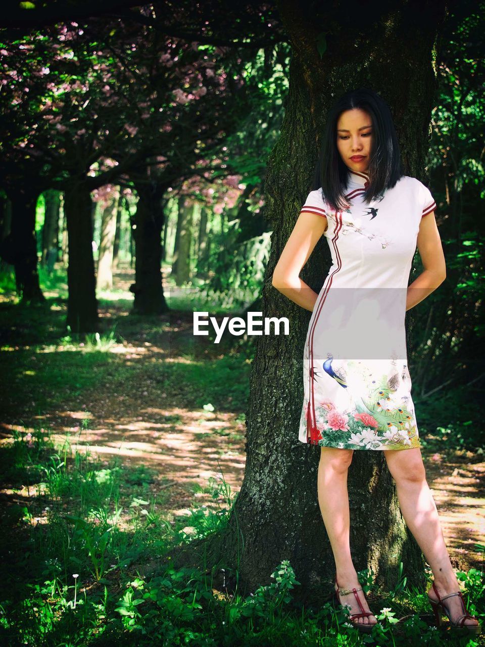 Beautiful young woman standing against trees