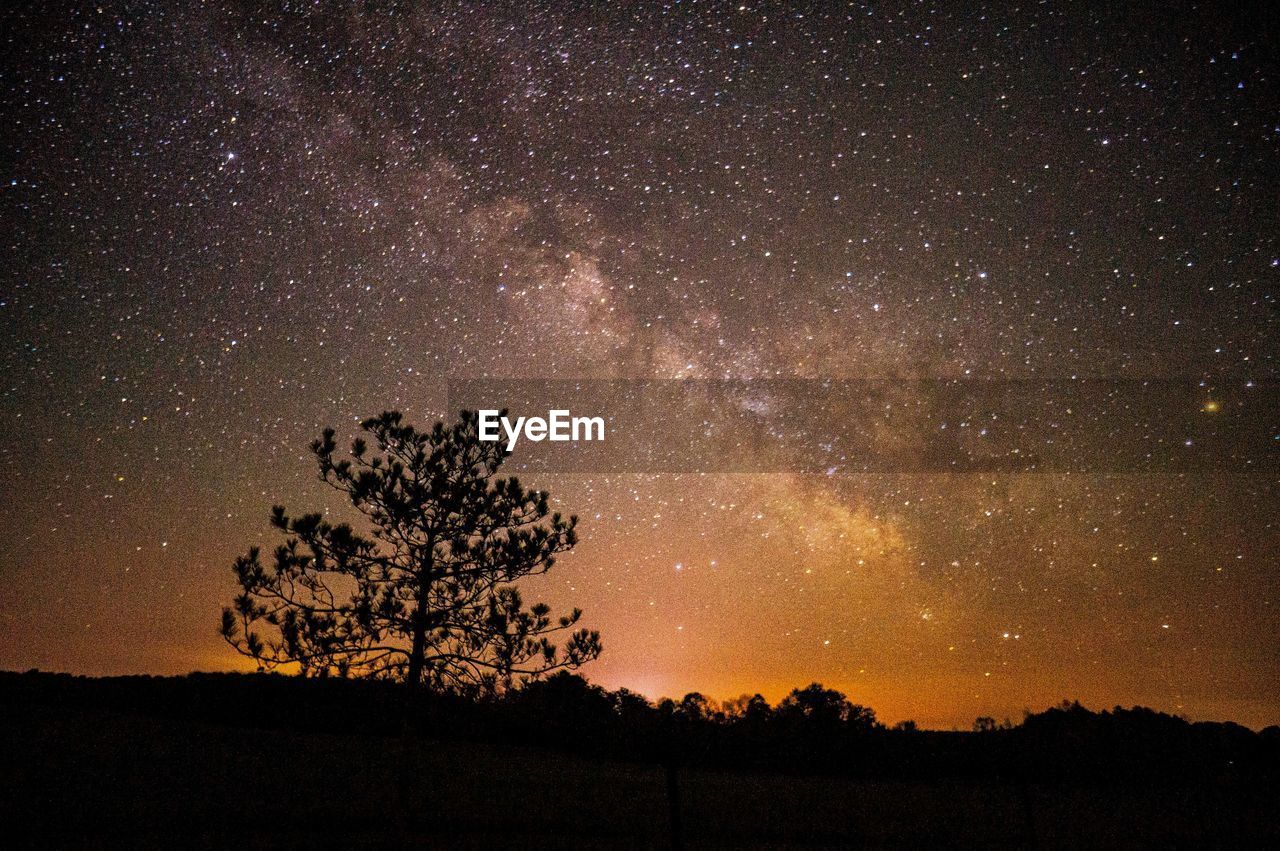 Silhouette trees on field against star field