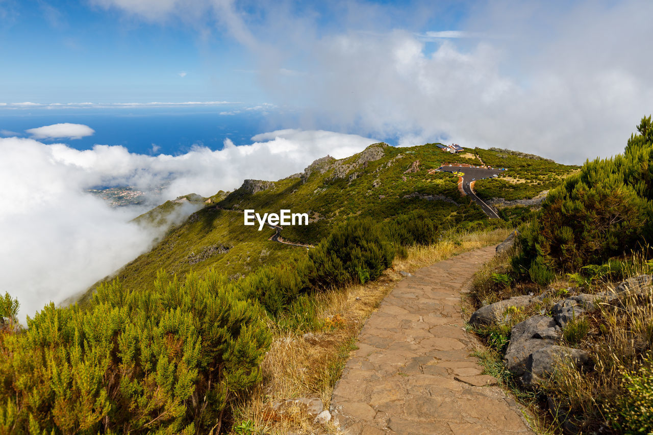 SCENIC VIEW OF TRAIL AMIDST PLANTS AGAINST SKY