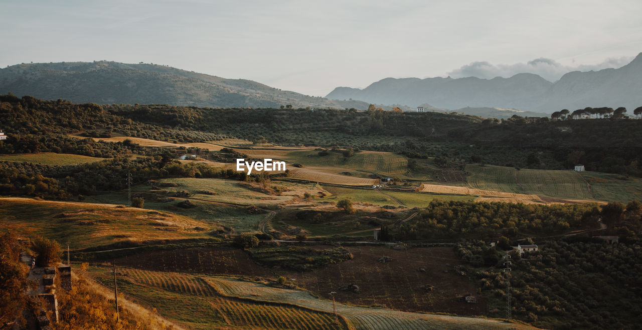 High angle view of agricultural field against sky