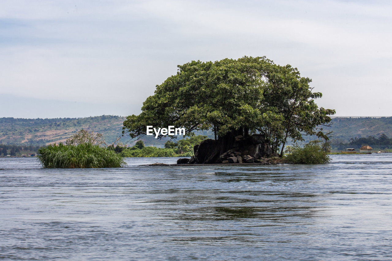 water, shore, tree, sea, coast, plant, sky, nature, land, environment, body of water, scenics - nature, beauty in nature, no people, cloud, ocean, travel, travel destinations, beach, landscape, bay, outdoors, island, tranquility, tourism, animal wildlife, day, tranquil scene, non-urban scene, coastline, holiday, tropical climate, animal, vacation, trip, idyllic, animal themes, vehicle