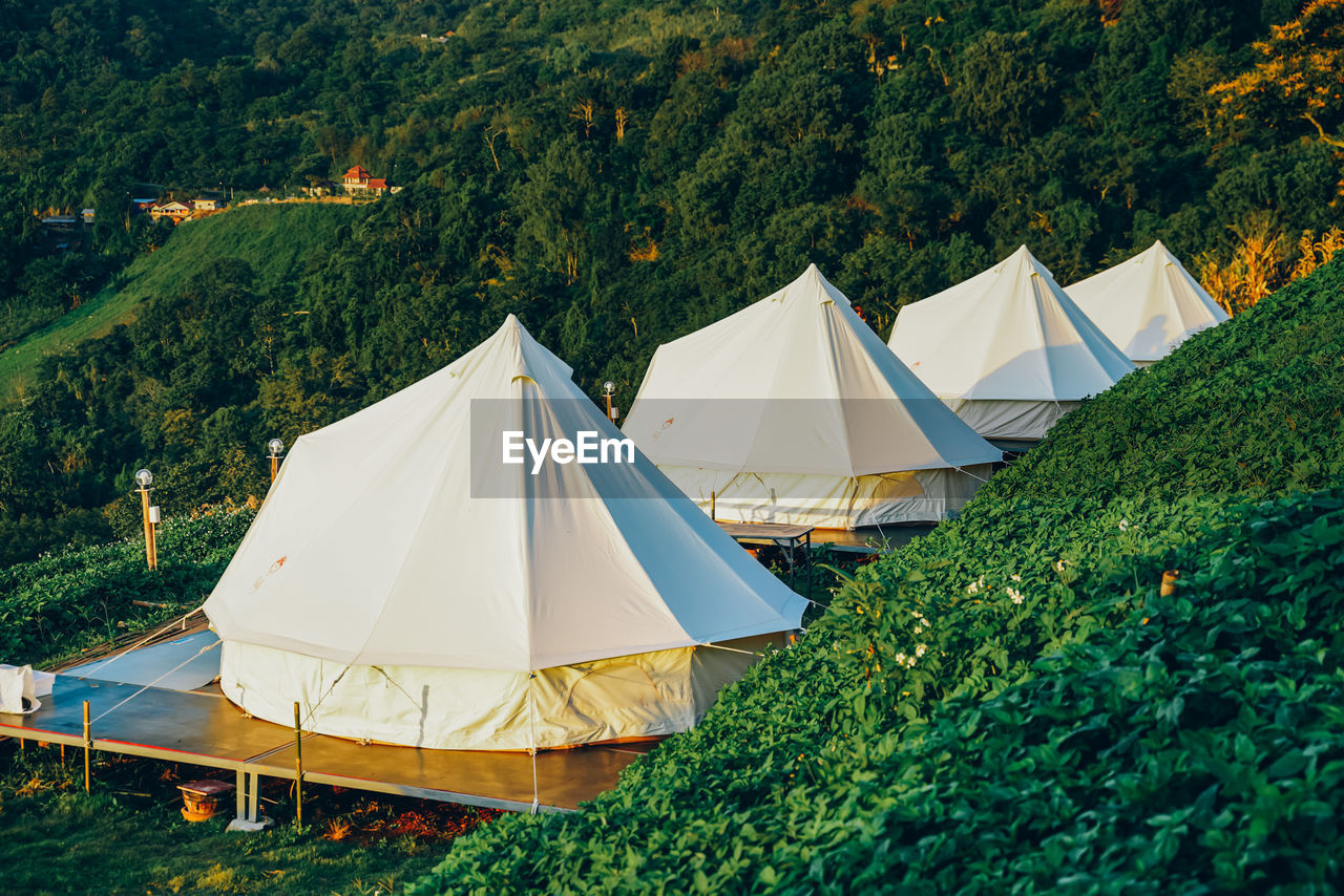 High angle view of tent amidst trees