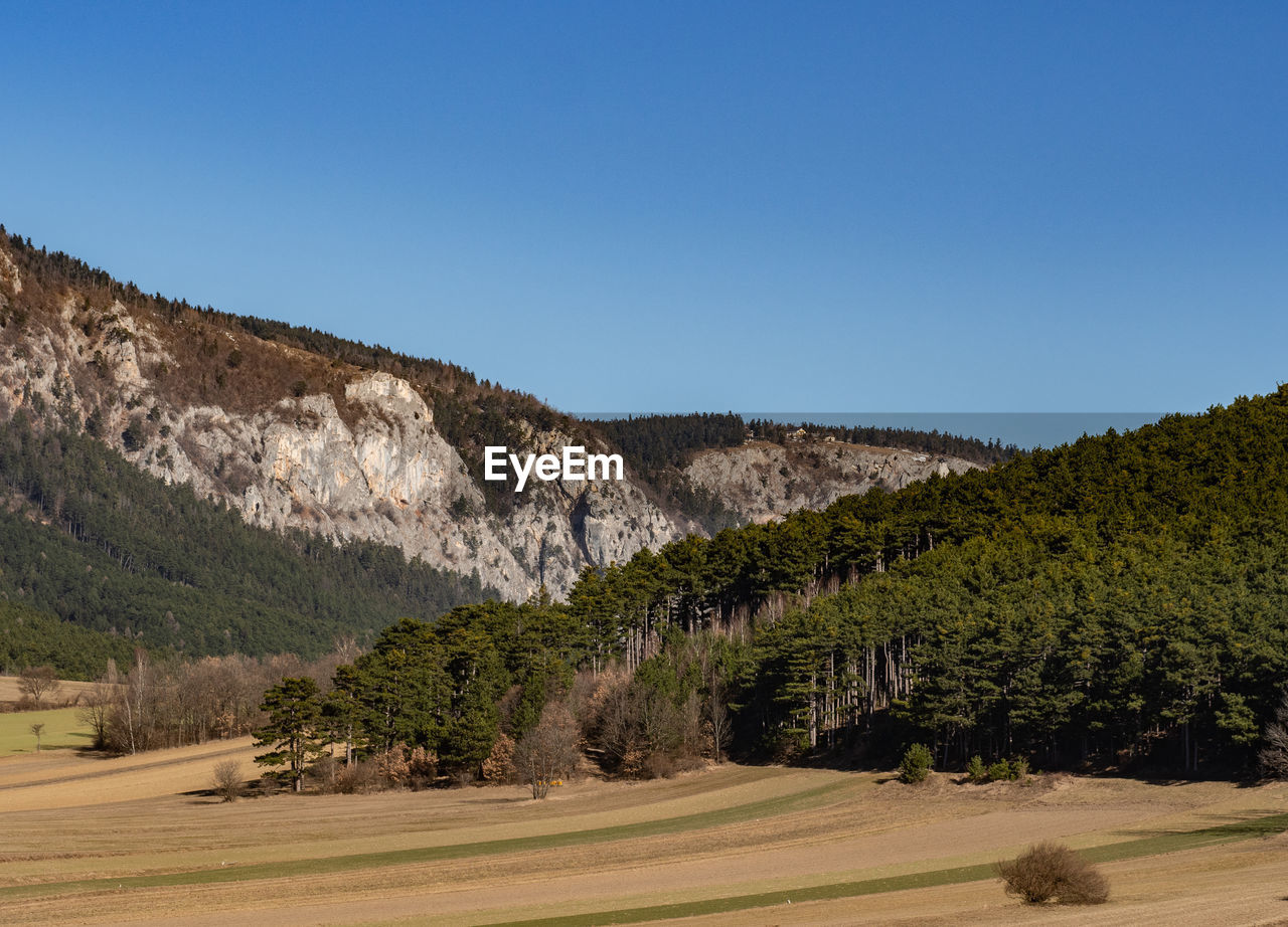 Scenic view of landscape against clear blue sky