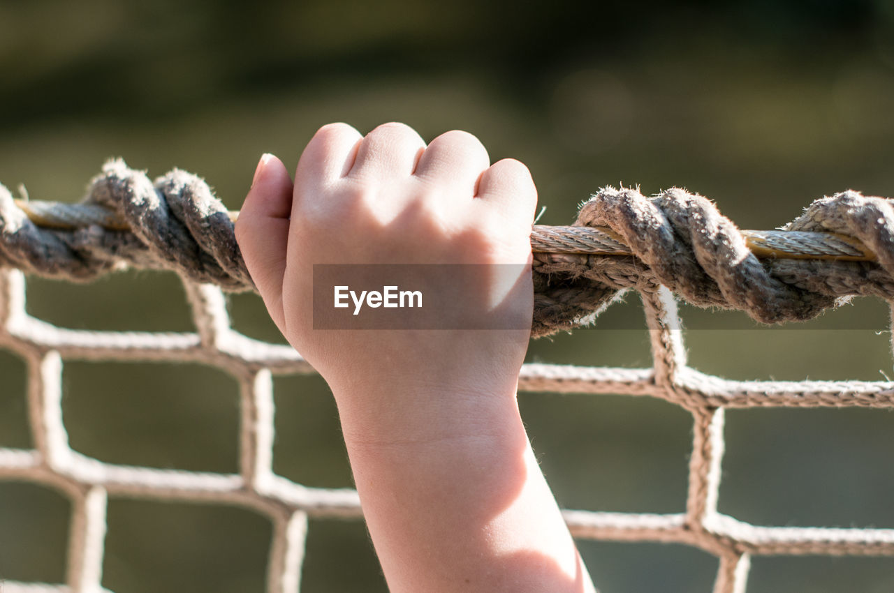 Cropped image of hand holding net