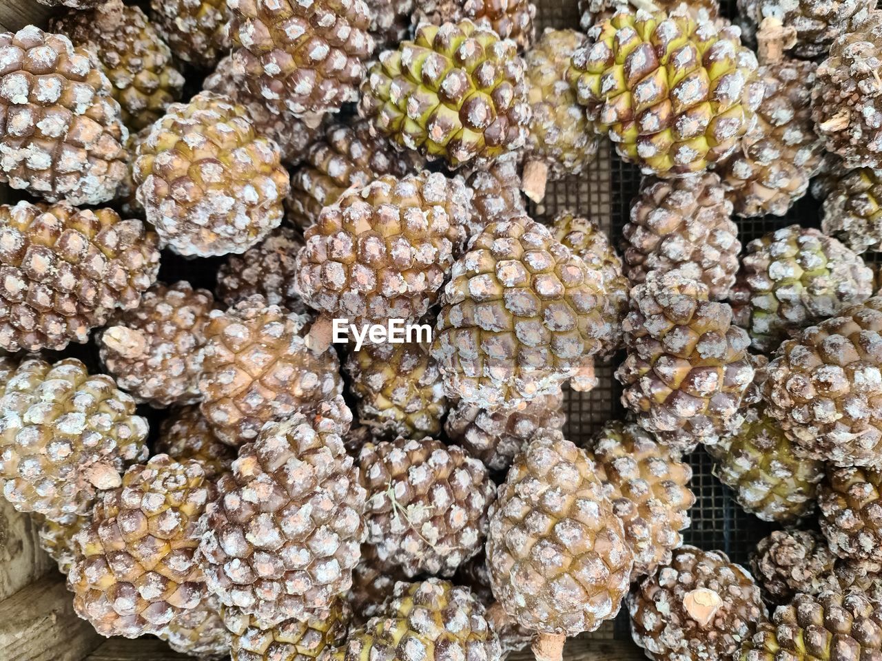 full frame, backgrounds, large group of objects, no people, abundance, produce, plant, day, nature, close-up, conifer cone, food and drink, food, high angle view, pattern, outdoors, textured, tree, flower